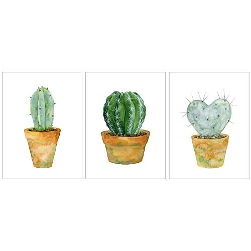 Modern Posters Prints Wall Art Watercolor Cactus Illustration Succulent Green Plants Unframed 3pcs
