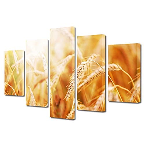 HEARTWORK Print on Canvas 5 Panels Grains, XXL Size, 120 x 225 cm (47 x 89 inch), Stretched on Wooden Frame and Ready to Hang Decorative Home Art, HD Quality Picture, Modern Canvas Print, For Home &amp; Office