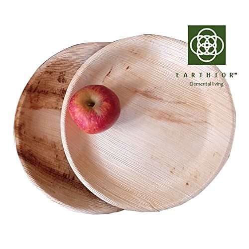 Set of 10 Round 10'' Eco Dinner Plates disposal & biodegradable premium party plates by Earthior