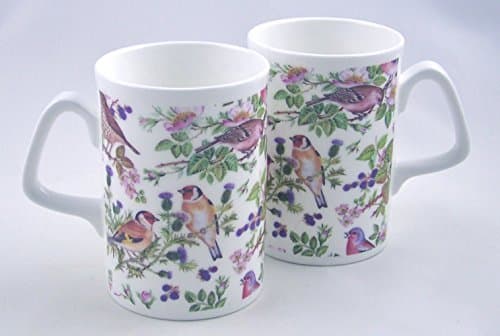 Pair Fine English Bone China Coffee Mugs Wild Bird Chintz by Royal Castle China