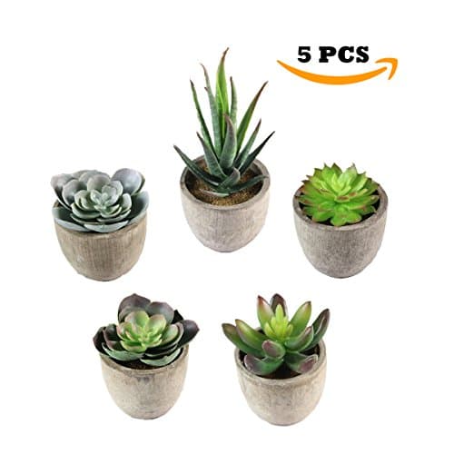 SYNI Designs Decorative Potted Artificial Succulent Plants- Assorted Potted Faux Succulent Plants- Artificial Aloe, Cactus Potted Topiary with Grey Pots for Home/Office (Set of 5)
