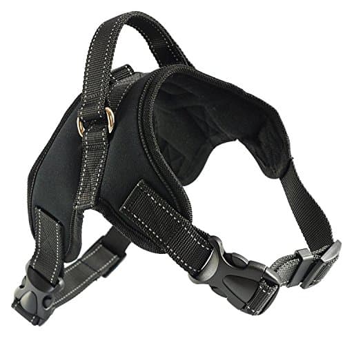 Dog Harness With Reflective Material Keeps Your Pet Safe While Walking and Car Rides, Instructional Guide on Product Tips, Use and FAQs by Roughtail Pet Supplies, Size X-Large, Color Neo Black