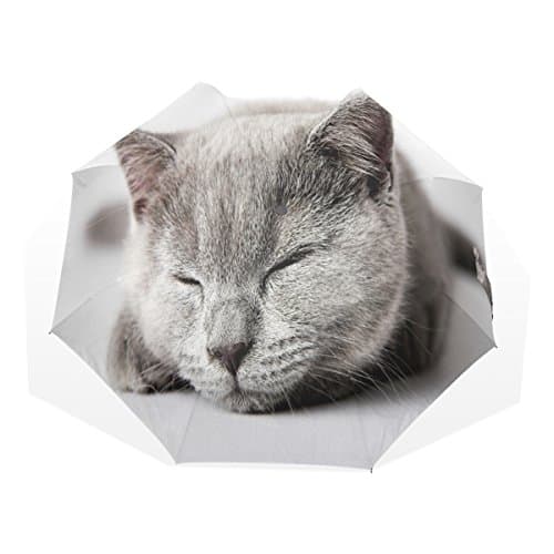 BYouLockX Lovely Cat Rain Umbrella for Windproof &amp; UV protection
