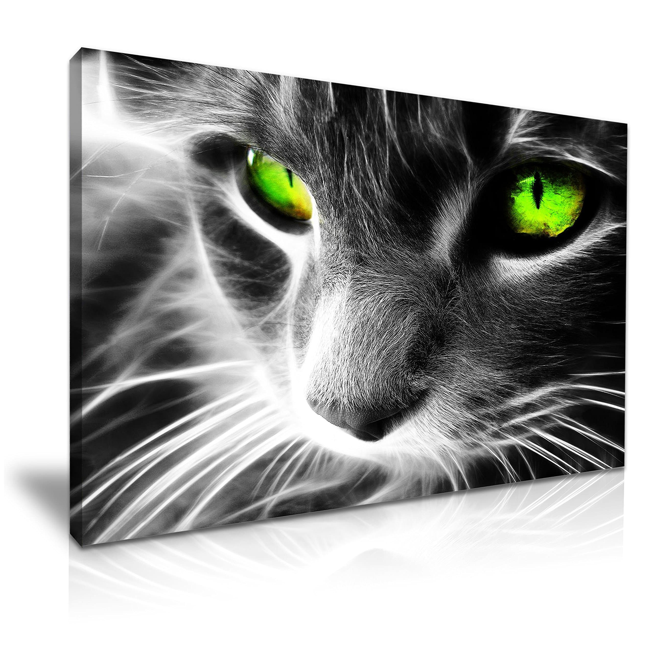 Green Eyes Cat Canvas Wall Art Picture Print 76x50cm Home Decoration