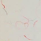 Handmade Decorative Paper Printable White with Multicolor Silk Threads (Set of 50), (90gsm, 8.5"x11")