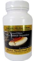 GanoUltra Pure Red Reishi 90ct