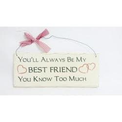 10" X 4" Wooden Sign Decor - Best Friend, 10" X 4" Wooden Sign Plaques for Your Home. Adds a Great Touch to Any Home. The Sign Says "You'll Always Be My Best Friend YOU Know TOO Much." Comes Ready to Hang with Wire Shown in Picture.