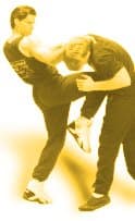 Savate Intermediate Offensive Kicks & Fighting Vol. 2 - By French Master, Professor Salem Assli [VHS TAPE]