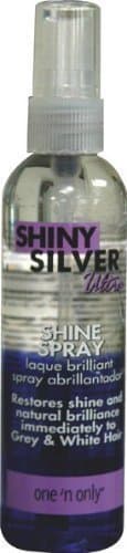 Shiny Silver Ultra Shine Spray 4 oz. (Pack of 2)