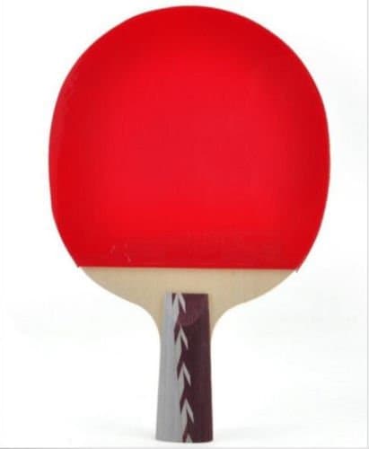 DHS 4006 Paddle Bat Ping Pong Table Tennis Racket Short Handle