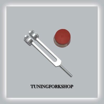 TFS Tuningforkshop Mid Om 136.10 Hz Weighted Tuning Fork for Healing with Activator & Pouch