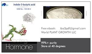 Indole-3-butyric acid 99% High Purity Powder 100g Tamper Sealed Bottle .#GH45843 3468-T34562FD45935