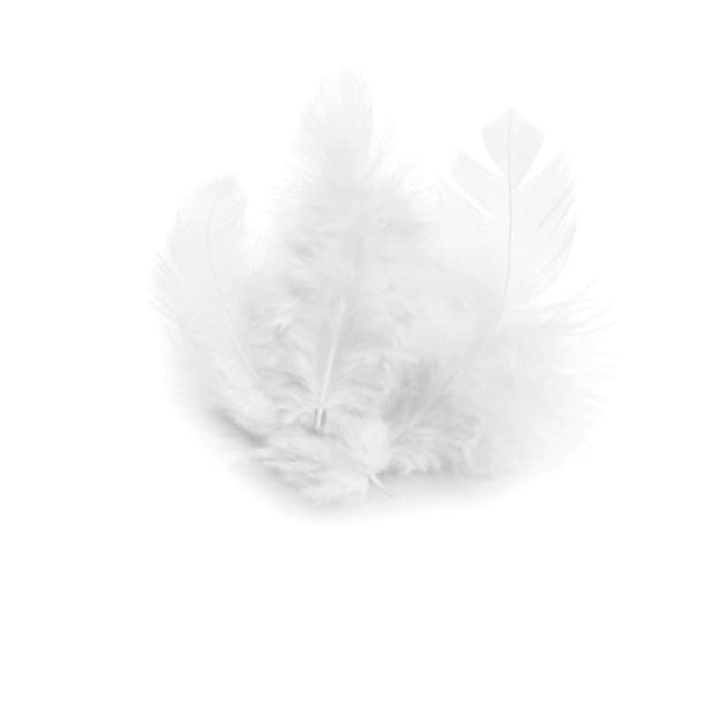 Graine Créative Pack of 3 Cockerel Feathers 100 mm White