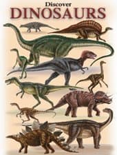 Dinosaur Playing Cards - 52 Different Images with Identification