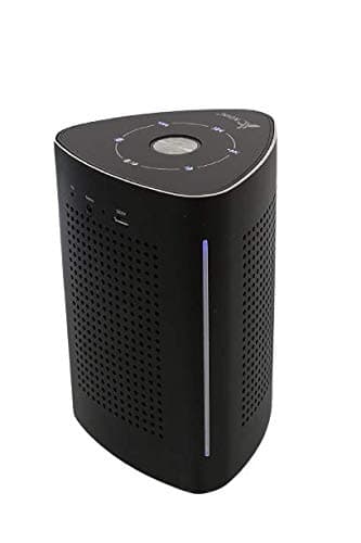 Flamingo 300 Bluetooth Portable Speaker (Black)