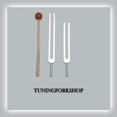 Tuningforkshop C & G Whole Body Tuning Fork Set With Mallet+Pouch+Fast