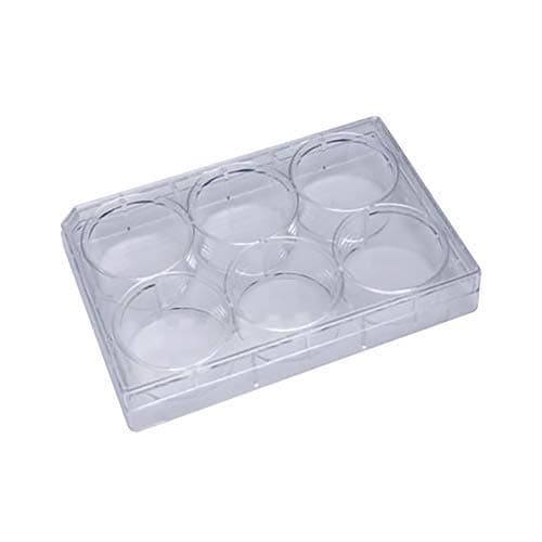Grow Cells with Olympus 6-Well Tissue Culture TC Treated Plates, Sterile, Individually Wrapped, Flat Bottom Wells, 100 Treated Cell Culture Plates/Unit