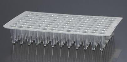 PCR 96 Well Plate- No-Skirt (10 Plates)