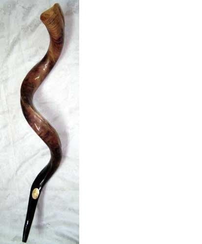 shofar