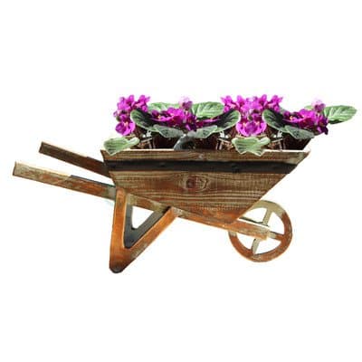 Novelty Wheelbarrow Planter