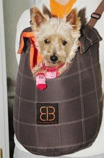 Small Dog Carrier Back Pack Pet Carrier Front Carrier Small Dog Cat Ferret Rabbit Pet Carrier