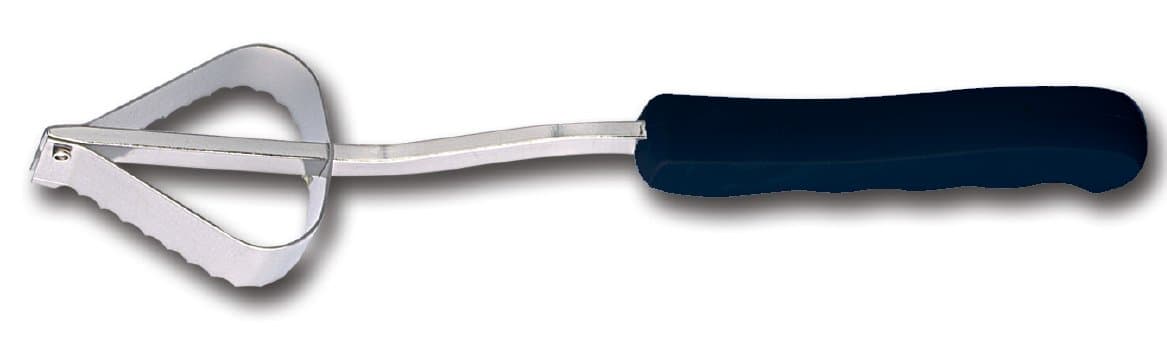 Fischer Bargoin 6-Inch Fish Scaler with Black Plastic Handle