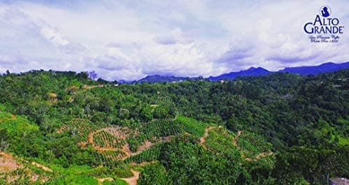 ALTO GRANDE Coffee N Can Puerto Rican, 8.8 OZ