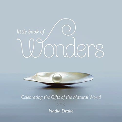 LITTLE BOOK OF WONDERS
