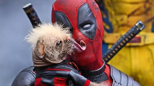 Deadpool & Wolverine