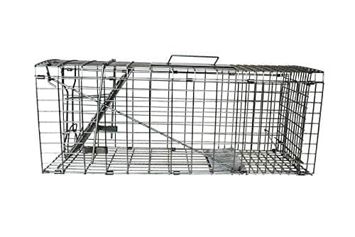 PestExpel® Live Catch, Rabbits, Squirrels, Mink, Feral Cat, Vermin,Animal Folding Cage Trap (Large)