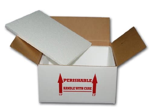 12x9x6 Insulated Shipping Box W/ 3/4 Foam (1 Pack)