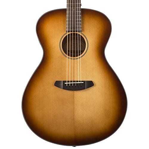 Breedlove 6 String Acoustic Guitar, Right (DSCO14SSMA)