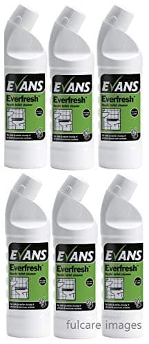 Evans Everfresh Apple Toilet and Washroom Cleaner Urinal Cleaner 6x 1ltr