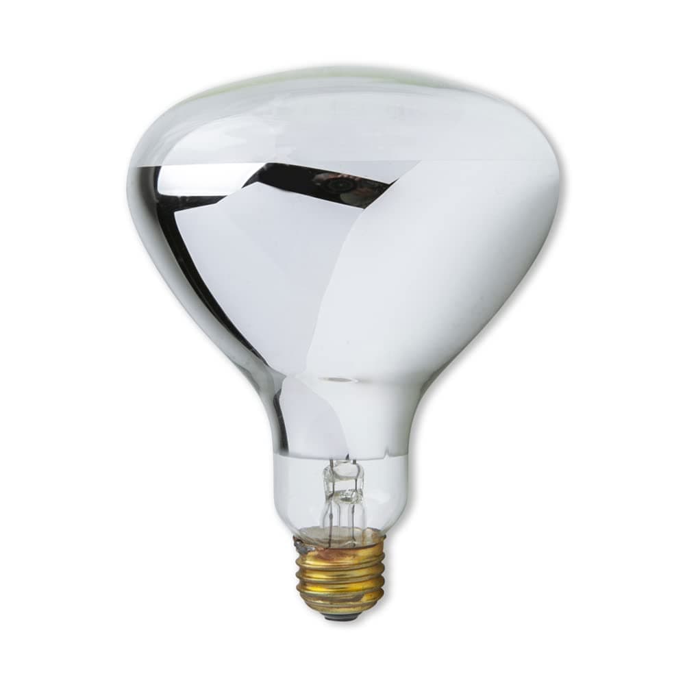 lumenivo R40 500 Watt Pool Bulb Replacement for Halco R40FL500/HG Incandescent Flood Reflector Inground Pool Light Perfect for Night Swimming - E26 Medium Screw Base - Frosted Glass - 120V