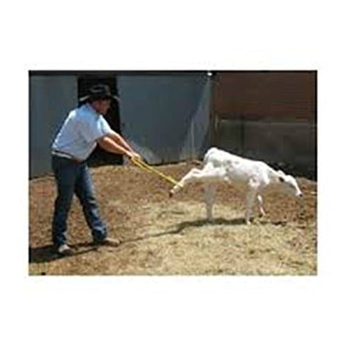 Hook Doctor Calf Catcher Dual Tool Eartag Mouth Treat Cattle Control Livestock