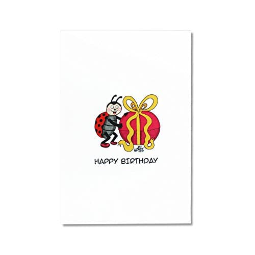 Birthday Card with Silver Bar, Ladybug with Gift, Envelope Included