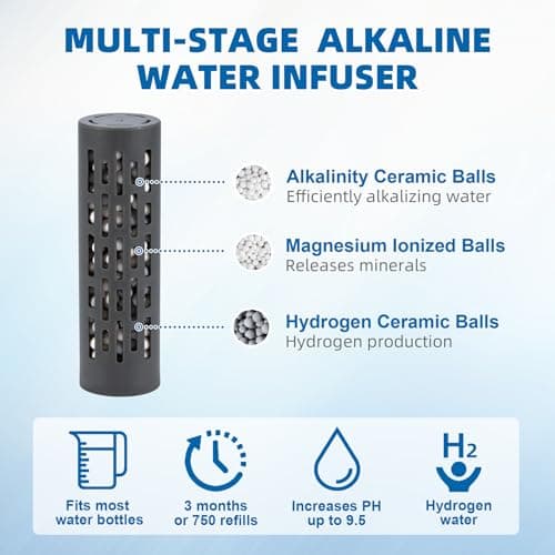 Alkaline Water Filter, 9.5 pH + Electrolytes Alkaline Water Stick, Alkaline Water Filter Infuser for Any Water Bottle - 2 Packs
