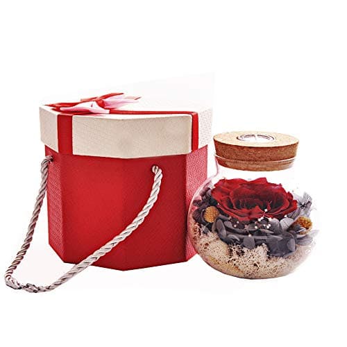 SANRAN Forever Flower Preserved Eternal Real Rose Present with Led Mood Light Best Gift for Mother's Day Thanksgiving Day Birthday Anniversary Valentine's Day Christmas-(Skyfire Max)