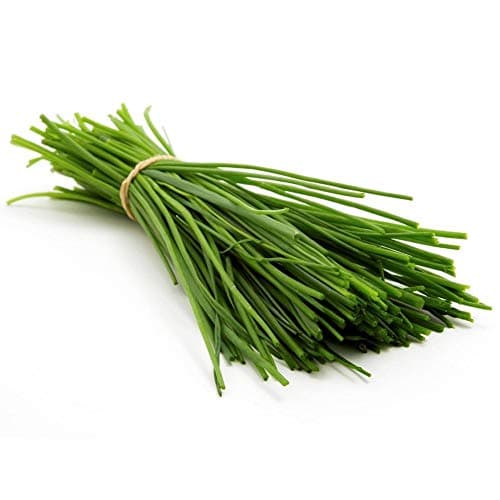 Chive Herb 100 Seeds Gourmet