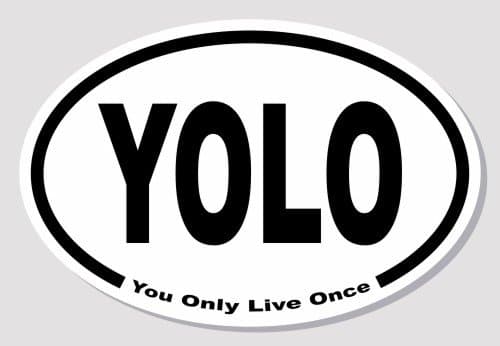 YOLO Bumper Sticker 3" by 4.5" Oval
