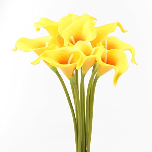 Leagel Calla Lily Bridal Wedding Bouquet Head Lataex Real Touch Flower Bouquets (10, Yellow)
Mandy's 20pcs Yellow Artificial Latex Tulips for Party Home Wedding Decoration
Eternal Rose Flower Gifts- Preserved Flower Rose 4 in 1 Gift Pack Handmade Fresh Flower Rose with 100 Languages I Love You Necklace Gift for Valentine's Day Mother's Day Anniversary Birthday(Yellow)