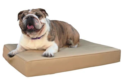 OCK9 Premium Orthopedic Memory Foam Dog Bed - Pink, Medium