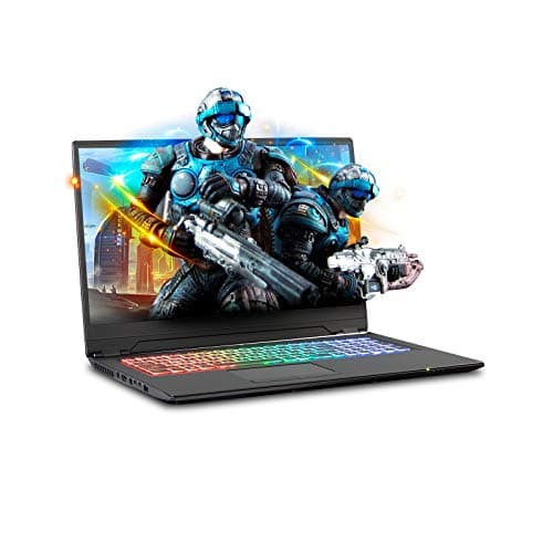 Sager NP8971 0.78 inches Thin and Light Gaming Laptop, 17.3 inches FHD 144Hz 3ms Thin Bezel Display, Intel Core i7-8750H, RTX 2060 6GB DDR6, 16GB RAM, 250GB M.2 SSD + 1TB HDD, Windows 10 Home