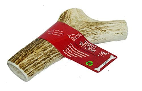 Perfect Pet Chews - Elk Antler Dog Chew - Grade A, All Natural, Organic, and Long Lasting Treats - Made from Naturally Shed Antlers in The USA (E. Large - Dog Weight 40-70 Lbs, 1 - Pack)