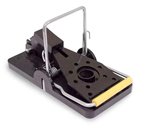 ghui that squatter your home, 5