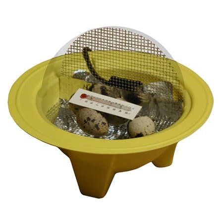 Chick-Bator Incubator by GQF Manufacturing