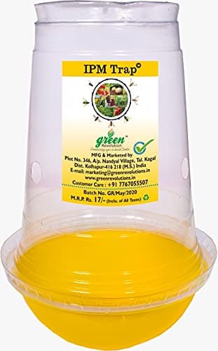 Ipm Pheromone Trap For Controlling The Fruit Fly And Melon Fly, Complete For 1 Acre (Does Not Include Lures), Yellow, Pack Of 10
