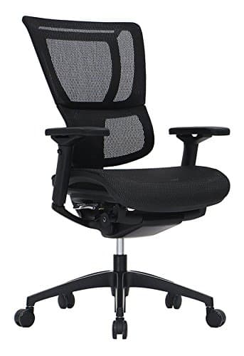 iOO Eurotech Office Ergonomic Chair Black Mesh and Black Frame with Head Rest