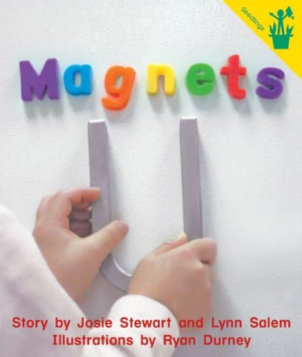Early Reader: Magnets Paperback β December 31, 1999