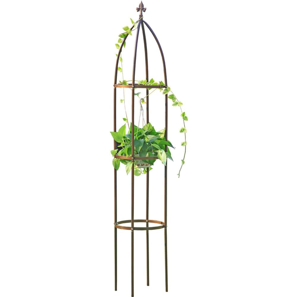 LeJoy Garden Obelisk Garden Trellis 6.3 Feet Tall Sturdy Plant Support for Climbing Vines and Flowers Stands (4.9 lbs, Dark Bronze)